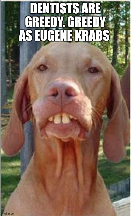 luvs ma guns buck teeth dog | DENTISTS ARE GREEDY. GREEDY AS EUGENE KRABS | image tagged in luvs ma guns buck teeth dog | made w/ Imgflip meme maker