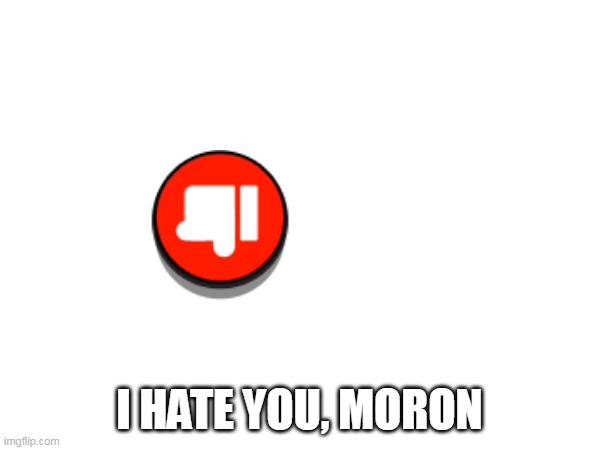 I HATE YOU, MORON | made w/ Imgflip meme maker