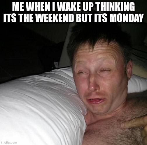 ... | ME WHEN I WAKE UP THINKING ITS THE WEEKEND BUT ITS MONDAY | image tagged in limmy waking up | made w/ Imgflip meme maker