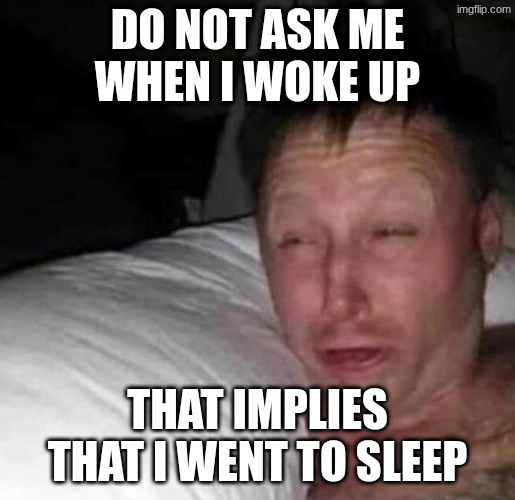 Sleepy guy | DO NOT ASK ME WHEN I WOKE UP; THAT IMPLIES THAT I WENT TO SLEEP | image tagged in sleepy guy | made w/ Imgflip meme maker