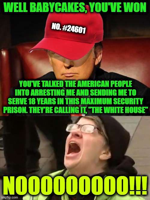 Tormentor in Chief | WELL BABYCAKES, YOU'VE WON; NO. #24601; YOU'VE TALKED THE AMERICAN PEOPLE INTO ARRESTING ME AND SENDING ME TO SERVE 18 YEARS IN THIS MAXIMUM SECURITY PRISON. THEY'RE CALLING IT, "THE WHITE HOUSE"; NOOOOOOOOO!!! | image tagged in trump hat no | made w/ Imgflip meme maker