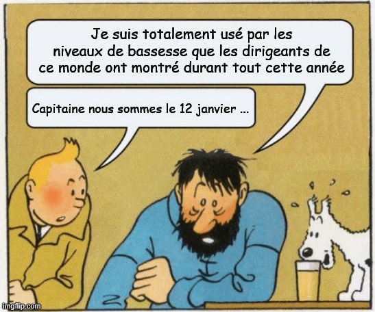 Tintin and Haddock | Je suis totalement usé par les niveaux de bassesse que les dirigeants de ce monde ont montré durant tout cette année; Capitaine nous sommes le 12 janvier ... | image tagged in tintin and haddock | made w/ Imgflip meme maker