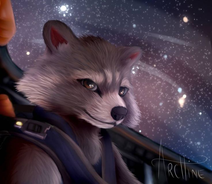 Rocket Raccoon (Guardians of the Galaxy) Blank Meme Template