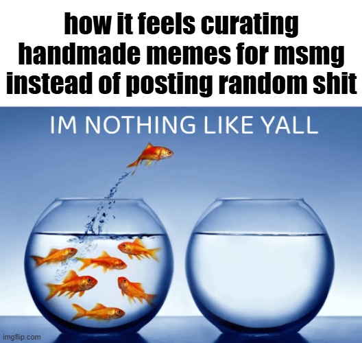 nothing like y'all | how it feels curating handmade memes for msmg instead of posting random shit | image tagged in what | made w/ Imgflip meme maker