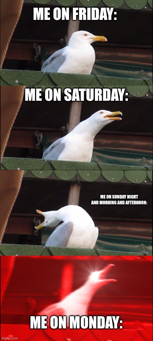 Inhaling Seagull Meme | ME ON FRIDAY:; ME ON SATURDAY:; ME ON SUNDAY NIGHT AND MORNING AND AFTERNOON:; ME ON MONDAY: | image tagged in memes,inhaling seagull | made w/ Imgflip meme maker