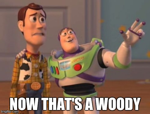 X, X Everywhere Meme | NOW THAT'S A WOODY | image tagged in memes,x x everywhere | made w/ Imgflip meme maker