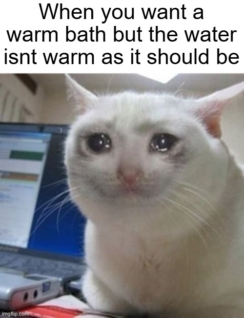 then you have to just wait for it or just get cold bath rn | When you want a warm bath but the water isnt warm as it should be | image tagged in crying cat,meme,relatable | made w/ Imgflip meme maker