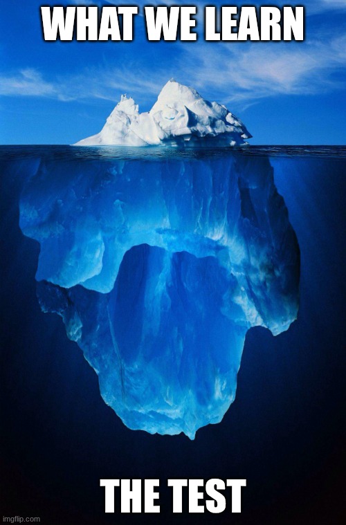 the test | WHAT WE LEARN; THE TEST | image tagged in iceberg | made w/ Imgflip meme maker