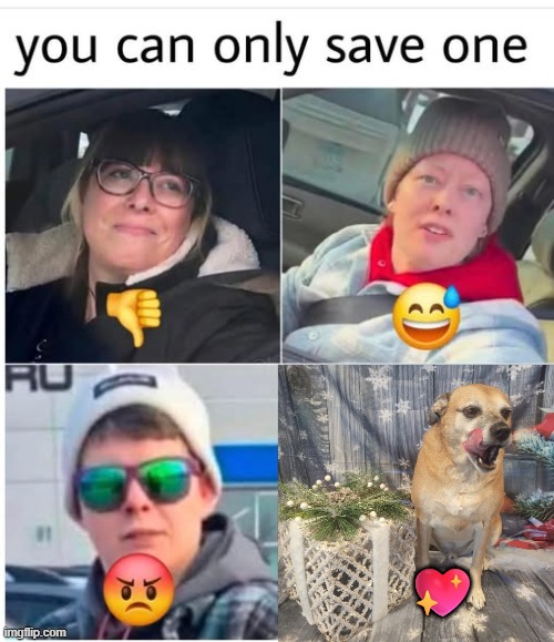 My dog | 💖 | image tagged in dog | made w/ Imgflip meme maker