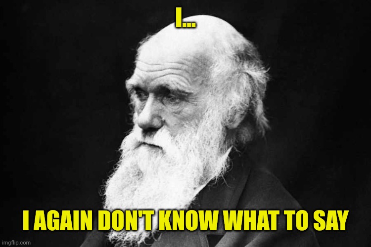 Darwin | I... I AGAIN DON'T KNOW WHAT TO SAY | image tagged in darwin | made w/ Imgflip meme maker