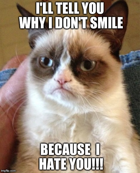 Grumpy Cat Meme | I'LL TELL YOU WHY I DON'T SMILE BECAUSE
 I HATE YOU!!! | image tagged in memes,grumpy cat | made w/ Imgflip meme maker