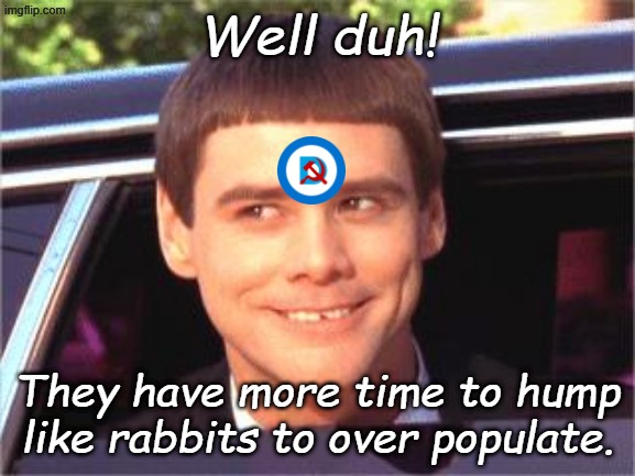 jim carey | Well duh! They have more time to hump like rabbits to over populate. | image tagged in jim carey | made w/ Imgflip meme maker