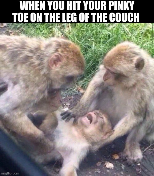 When You Hit Your Pinky Toe On The Leg Of The Couch | WHEN YOU HIT YOUR PINKY TOE ON THE LEG OF THE COUCH | image tagged in chrisjoines1 | made w/ Imgflip meme maker