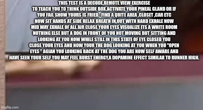 Free training module | THIS TEST IS A DECODE,REMOTE VIEW EXERCISE TO TEACH YOU TO THINK OUTSIDE BOX,ACTIVATE YOUR PINEAL GLAND OR IF YOU FAIL SHOW YOURS IS FRIED.  FIND A QUITE AREA ,CLOSET ,CAR ETC NOW SIT HANDS AT SIDE RELAX BREATH IN,OUT WITH HARD EXHALE NOW MID WAY EXHALE OF ALL AIR CLOSE YOUR EYES VISUALIZE ITS A WHITE ROOM NOTHING ELSE BUT A DOG IN FRONT OF YOU NOT MOVING BUT SITTING AND LOOKING AT YOU NOW WHILE STILL IN THIS STATE OF EYE CLOSED YOU CLOSE YOUR EYES AND NOW YOUR THE DOG LOOKING AT YOU WHEN YOU "OPEN EYES " AGIAN YOU LOOKING BACK AT THE DOG YOU ARE NOW SELF AWARE AND HAVE SEEN YOUR SELF YOU MAY FEEL BURST ENERGY,A DOPAMINE EFFECT SIMILAR TO RUNNER HIGH. | image tagged in free | made w/ Imgflip meme maker