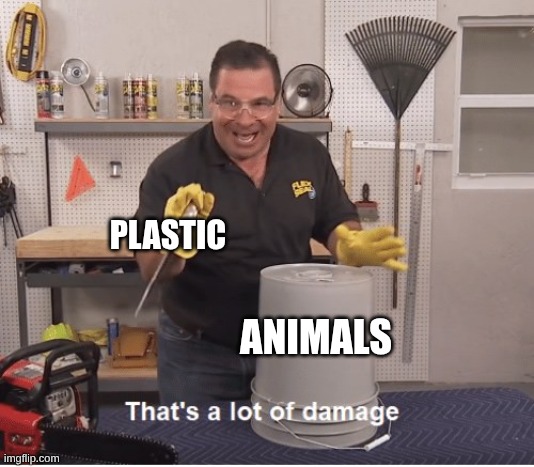 thats a lot of damage | PLASTIC; ANIMALS | image tagged in thats a lot of damage | made w/ Imgflip meme maker