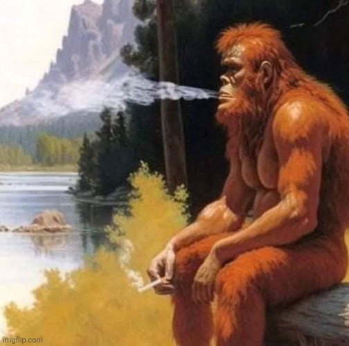 Smoking Bigfoot | image tagged in smoking bigfoot | made w/ Imgflip meme maker