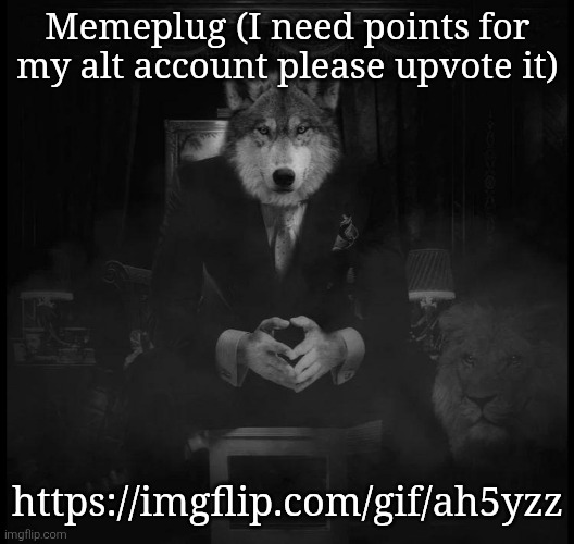 Wolf on a chair | Memeplug (I need points for my alt account please upvote it); https://imgflip.com/gif/ah5yzz | image tagged in wolf on a chair | made w/ Imgflip meme maker