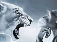 apes Blank Meme Template