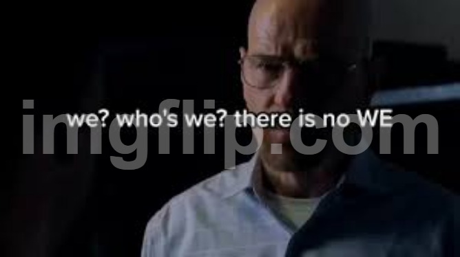 we? who's we? there is no WE. | image tagged in we who's we there is no we | made w/ Imgflip meme maker