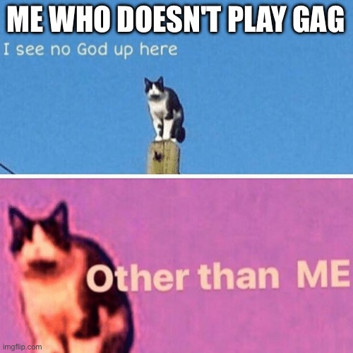 Hail pole cat | ME WHO DOESN'T PLAY GAG | image tagged in hail pole cat | made w/ Imgflip meme maker