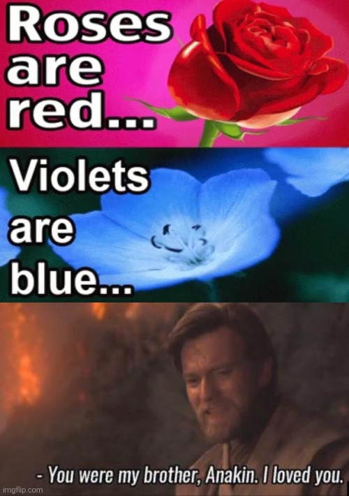 image tagged in you were my brother anakin i loved you,roses are red,meme,memes,funny,funny memes | made w/ Imgflip meme maker