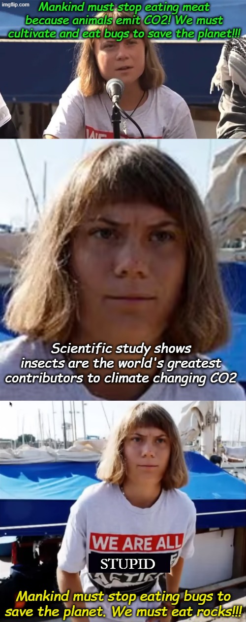 Gurta and the evolution of propaganda... | Mankind must stop eating meat because animals emit CO2! We must cultivate and eat bugs to save the planet!!! Scientific study shows insects are the world's greatest contributors to climate changing CO2; STUPID; Mankind must stop eating bugs to save the planet. We must eat rocks!!! | image tagged in greta he-man,greta he man | made w/ Imgflip meme maker