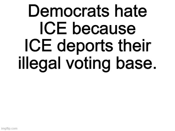 True | Democrats hate ICE because ICE deports their illegal voting base. | image tagged in memes,funny,police,politics,political meme | made w/ Imgflip meme maker