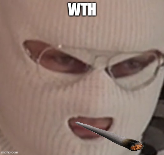 WTH | image tagged in well i m f ed | made w/ Imgflip meme maker
