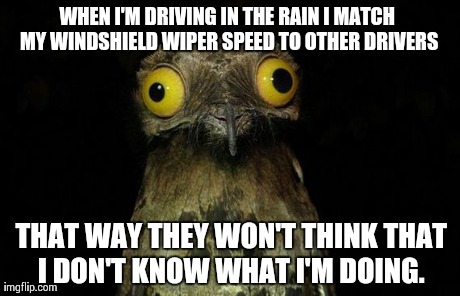 Weird Stuff I Do Potoo Meme | WHEN I'M DRIVING IN THE RAIN I MATCH MY WINDSHIELD WIPER SPEED TO OTHER DRIVERS THAT WAY THEY WON'T THINK THAT I DON'T KNOW WHAT I'M DOING. | image tagged in memes,weird stuff i do potoo,AdviceAnimals | made w/ Imgflip meme maker