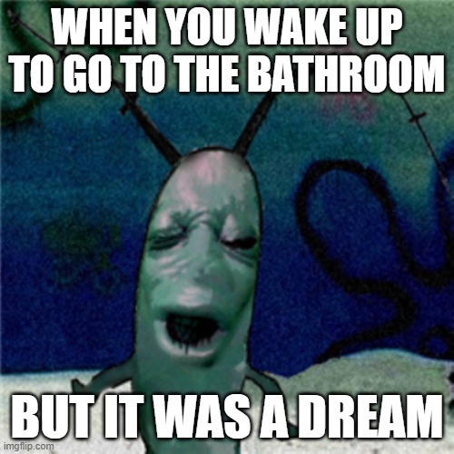 Cursed Plankton Bathroom Dream | WHEN YOU WAKE UP TO GO TO THE BATHROOM; BUT IT WAS A DREAM | image tagged in cursed plankton | made w/ Imgflip meme maker