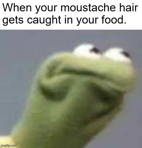 image tagged in annoying | made w/ Imgflip meme maker