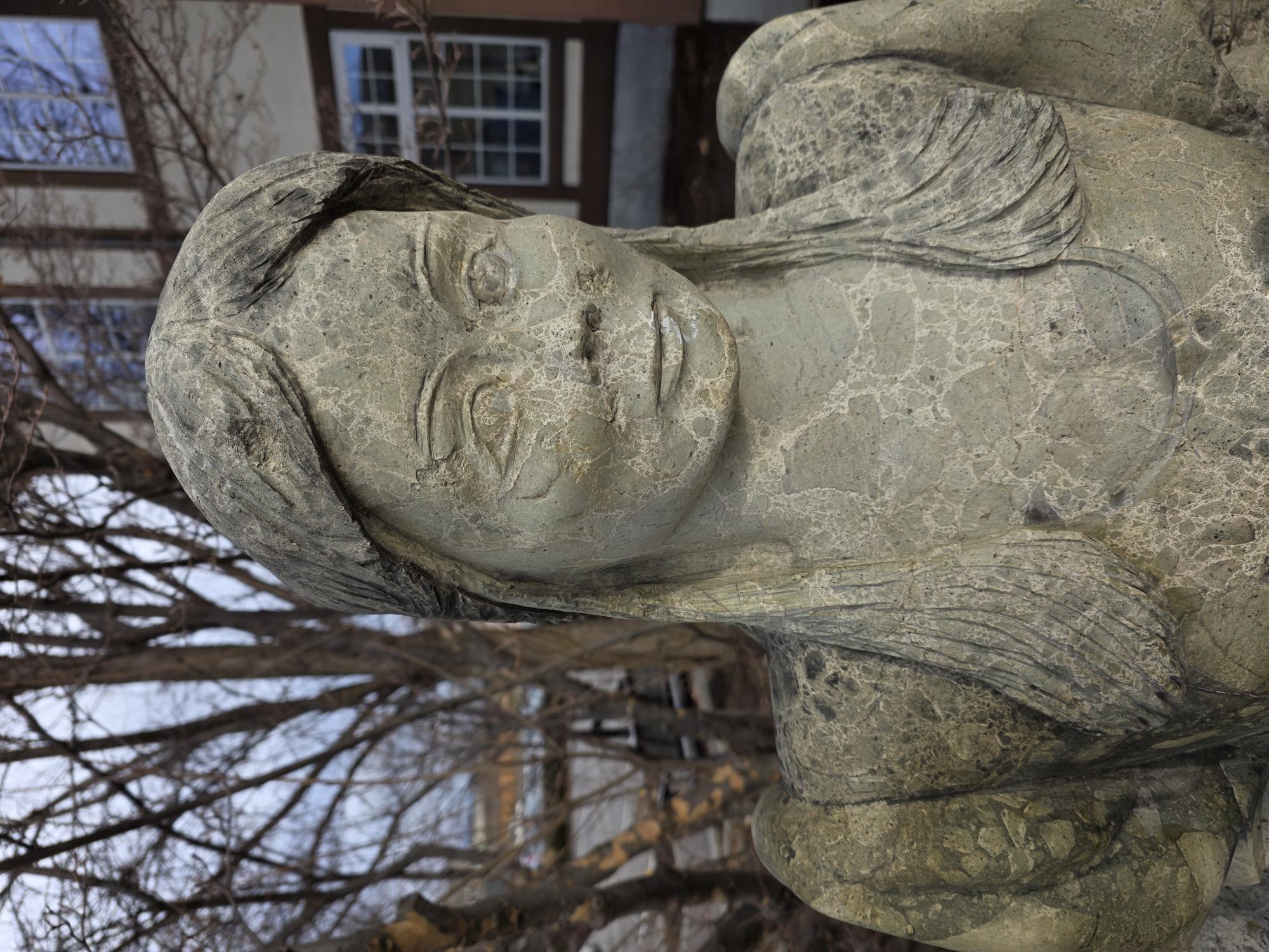 Shocked expression Blank Meme Template