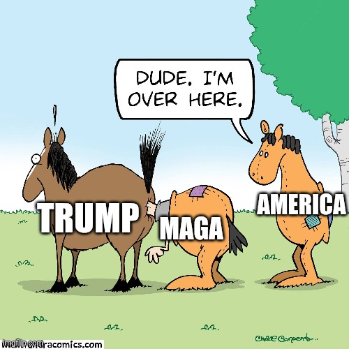 Heads Up | TRUMP; AMERICA; MAGA | image tagged in maga,cult,america,trump,assholes | made w/ Imgflip meme maker