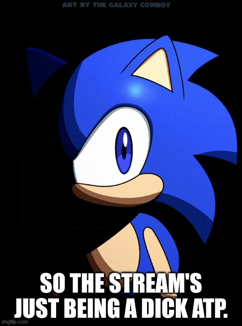 I literally just asked a fucking question | SO THE STREAM'S JUST BEING A DICK ATP. | image tagged in sonic blank stare in the dark | made w/ Imgflip meme maker
