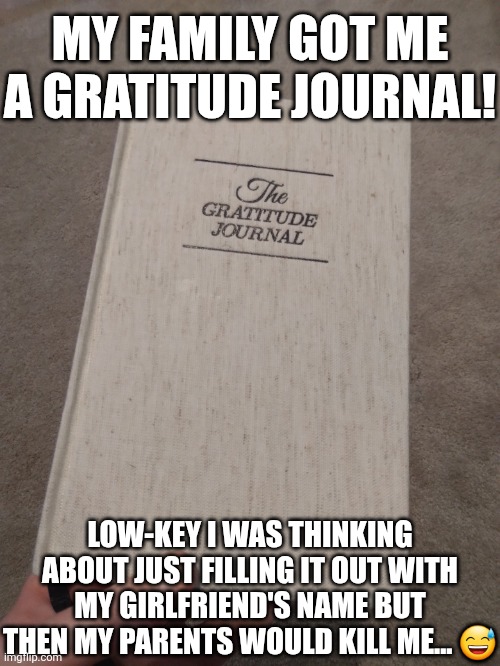 MY FAMILY GOT ME A GRATITUDE JOURNAL! LOW-KEY I WAS THINKING ABOUT JUST FILLING IT OUT WITH MY GIRLFRIEND'S NAME BUT THEN MY PARENTS WOULD KILL ME... 😅 | image tagged in idk | made w/ Imgflip meme maker