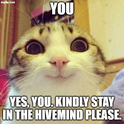 whats up my fellow antlings | YOU; YES, YOU. KINDLY STAY IN THE HIVEMIND PLEASE. | image tagged in memes,smiling cat | made w/ Imgflip meme maker