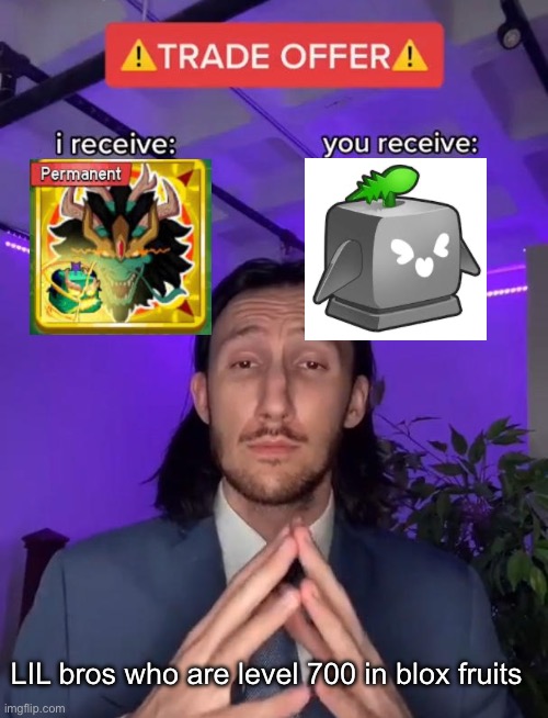 Who wants to trade with me i have perm dragon | LIL bros who are level 700 in blox fruits | image tagged in trade offer | made w/ Imgflip meme maker