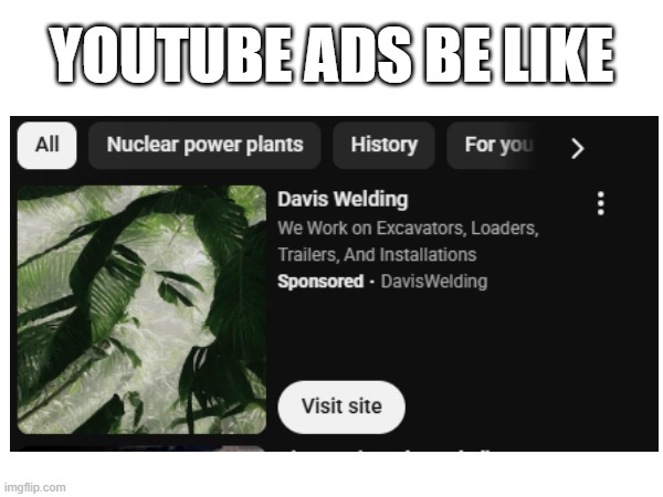 damn youtube really do be like that tho | YOUTUBE ADS BE LIKE | image tagged in youtube ads | made w/ Imgflip meme maker