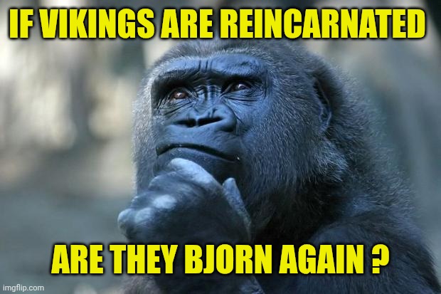 Deep Thoughts | IF VIKINGS ARE REINCARNATED; ARE THEY BJORN AGAIN ? | image tagged in deep thoughts | made w/ Imgflip meme maker