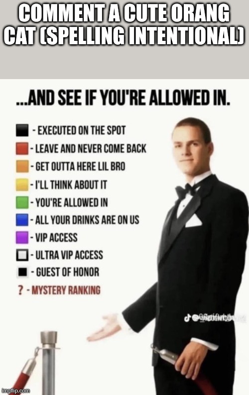 Orang | COMMENT A CUTE ORANG CAT (SPELLING INTENTIONAL) | image tagged in see if your allowed in | made w/ Imgflip meme maker