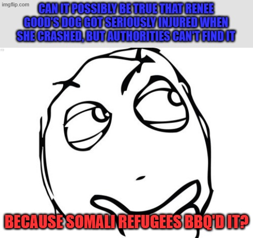 Does anyone know what happened to the dog in her car? | CAN IT POSSIBLY BE TRUE THAT RENEE GOOD'S DOG GOT SERIOUSLY INJURED WHEN SHE CRASHED, BUT AUTHORITIES CAN'T FIND IT; BECAUSE SOMALI REFUGEES BBQ'D IT? | image tagged in memes,question rage face | made w/ Imgflip meme maker