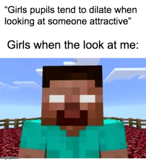image tagged in repost lol,minecraft,gaming,girls,eyes,sad | made w/ Imgflip meme maker