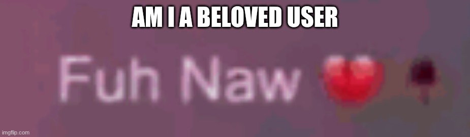 don't worry, the meme already answered for y'all | AM I A BELOVED USER | image tagged in fuh naw | made w/ Imgflip meme maker