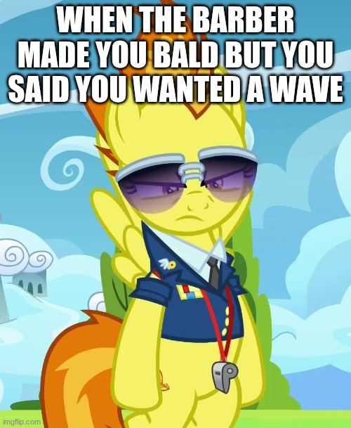 Concerned Spitfire (MLP) | WHEN THE BARBER MADE YOU BALD BUT YOU SAID YOU WANTED A WAVE | image tagged in concerned spitfire mlp | made w/ Imgflip meme maker