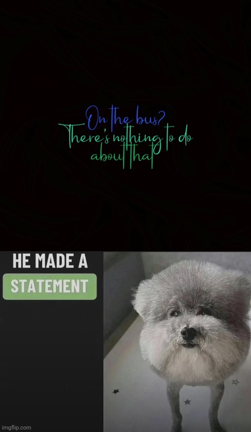 image tagged in he made a statement blank | made w/ Imgflip meme maker