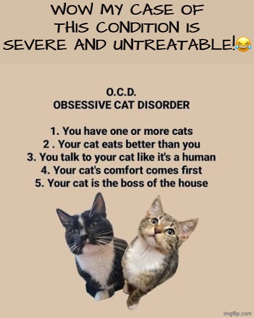My Case is severe and untreatable | WOW MY CASE OF THIS CONDITION IS SEVERE AND UNTREATABLE!😂 | image tagged in cats,funny cats,the boss,ocd,mental illness,manipulation | made w/ Imgflip meme maker