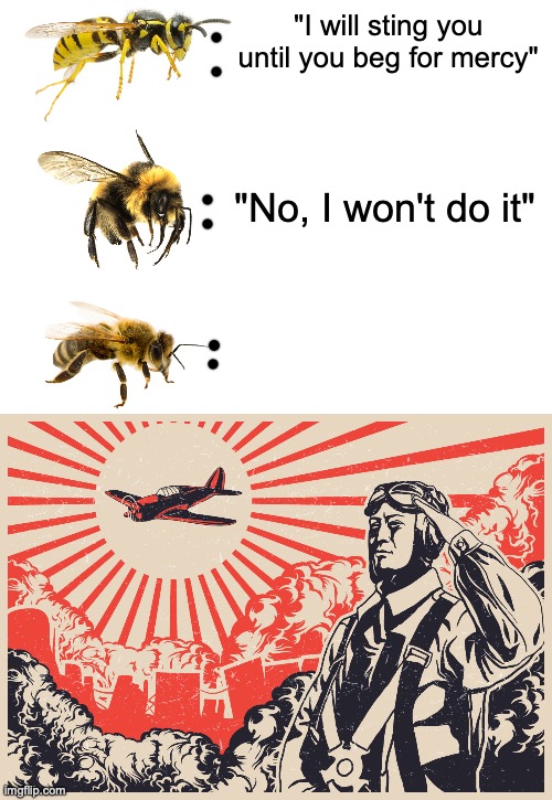 bee posting | "I will sting you until you beg for mercy"; "No, I won't do it" | image tagged in imperial japanese kamikaze pilot propaganda poster | made w/ Imgflip meme maker