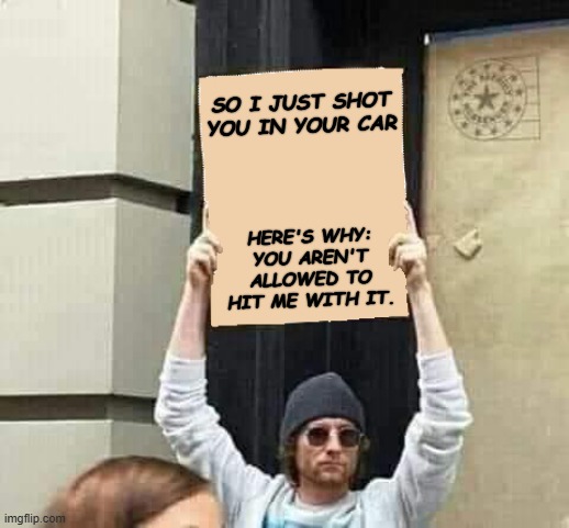 Ice agent Speaking to Renee Good. | SO I JUST SHOT YOU IN YOUR CAR; HERE'S WHY: YOU AREN'T ALLOWED TO HIT ME WITH IT. | image tagged in protest,radical,leftists,democrats,car | made w/ Imgflip meme maker