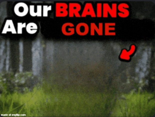 Our brains are GONE | image tagged in our brains are gone | made w/ Imgflip meme maker