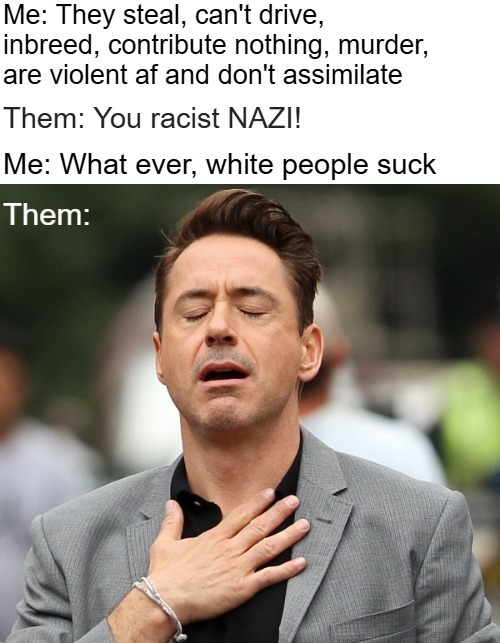image tagged in relieved rdj,racist,funny,irony | made w/ Imgflip meme maker
